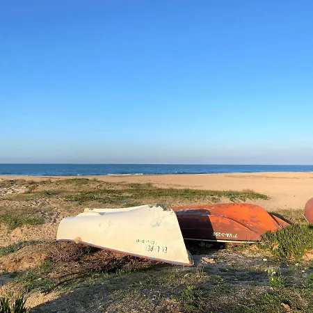 Gust De Sal דניה